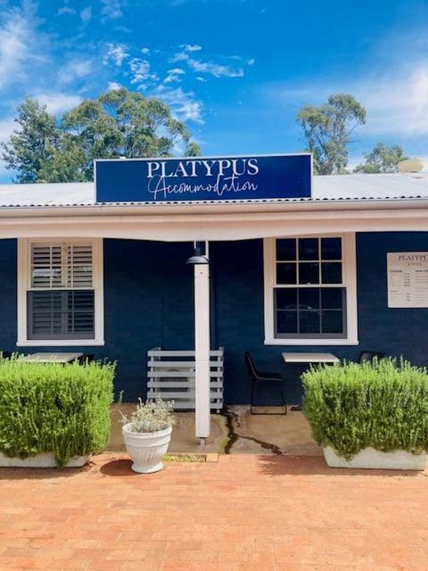 The Platypus Accommodation & Cafe Cudal エクステリア 写真
